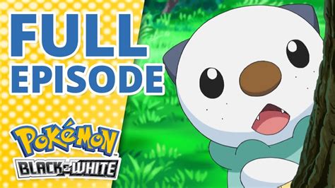 pokemon black and white full episodes.